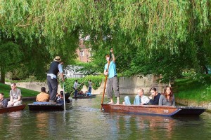 Punting through the willows