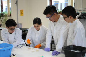 Students and a lab instructor work together on a lab experiment, examining petri dishes.